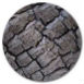 Burnt Wood